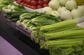 南方电网吃瓜娱乐酱,吃瓜娱乐酱，揭秘电力行业趣味瞬间