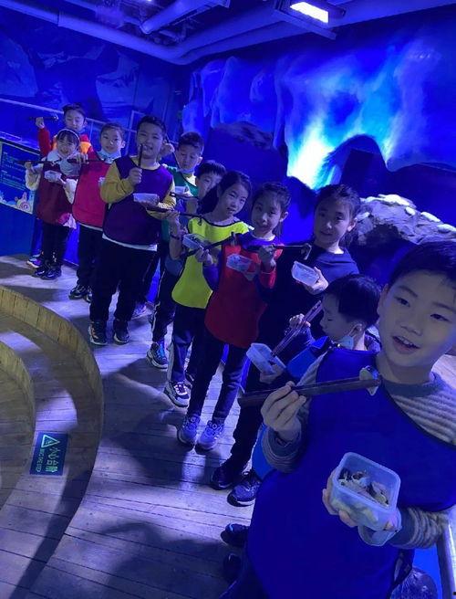 乐乐娱乐吃瓜大会,揭秘娱乐圈幕后故事